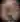 Sub