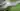 scv2gh5